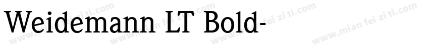 Weidemann LT Bold字体转换
